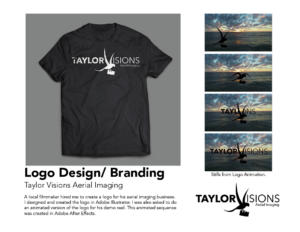 Logo Design and Branding-Taylor Visions